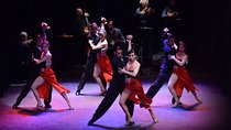 Piazzolla Tango Show and Dinner in Buenos Aires
