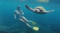 Snorkeling with Turtles in Mirissa