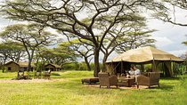 Tanzania 3-Day Private Safari with Full Board