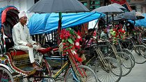 Exploring Kathmandu by Rickshaw - Day Tour