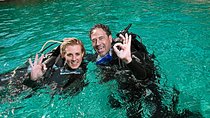 Mallorca: Discover Scuba Diving from the beach