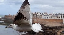 Essaouira one day Trip from Marrakech 