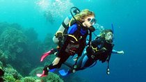 SSI | Padi Open Water Course in Phuket