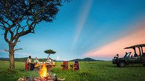 5 Days Amplified Luxury Safari in Tanzania 2021