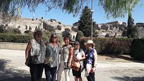 Pompeii and Herculaneum Skip-The-Line with Lunch&WineTasting from Naples Port