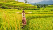 Bali Budget 5 Days, Tours & Air Port Transfers 