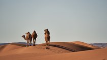 4 Day Private Desert Tour from Marrakech to Fez