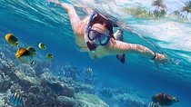 Hamata Island snorkeling tour from Marsa Alam 