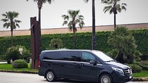 Private transfer from Palermo airport to Hotel del Centro or vice versa