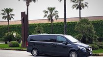Private transfer from Palermo airport to ibis Styles hotel or vice versa