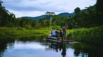 3-Day Manu Jungle Lodge Tour