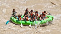 River Rafting, Moab Daily, Morning Tour