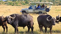 10-Day Private Spectacular Big 5 Wildlife Safari and Beach Holiday