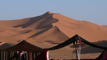 Full-Day Safari, Dune Bash, Camel Ride, Sandboarding & BBQ Meal