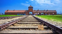 Wieliczka Salt Mine and Auschwitz-Birkenau Tour