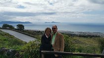 Pompeii Skip-The-Line and Mt Vesuvius with Lunch&WineTasting from Naples Port