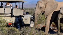 Private return transfers from Cape Town to Sanbona Wildlife Reserve