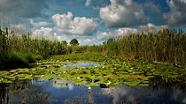 Discover Danube Delta from Bucharest - Private Tour for 5 Days