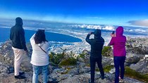 Private Tour: Table Mountain, Penguin Colony & Cape of Good Hope incl. Park Fees