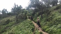 Trekking, Camino de Santiago and Monte Ulia