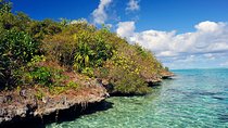 Ile aux Aigrettes - Tea Route - Gris Gris Private Guided Tour (Min. 2 persons)