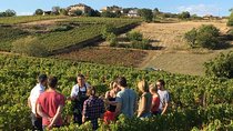 Beaujolais & Perouges Medieval Town - Private Tour - Full Day from Lyon