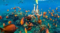 Discover UnderWater Blue Lagoon with this Snorkeling