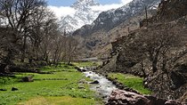 Full-Day Private Tour of the Atlas Mountains’ Three Valleys