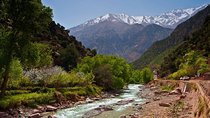 Private Full-Day Tour Ourika Valley from Marrakech with Lunch