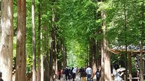 Private Tour including Nami Island with attractions in Seoul