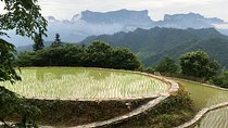 4 Days Zhangjiajie Highlights with Rice Terrace View (Hand-picked Featured Inn)