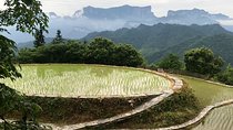 4 Days Zhangjiajie Highlights with Rice Terrace Tour (Classical Boutique Hotel)