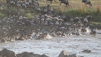 5 Days/4 Nights Kenya Safari