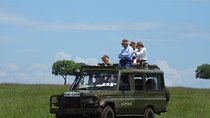 4Days/3Nights Comfort in Serengeti, Ngorongoro ,L Manyara