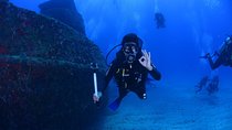 Cape Town Divers Experience 4Days 3Nights ( Comfort)