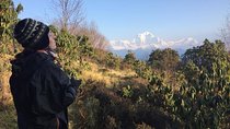 4 Days Poon Hill Trek