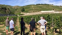 Cotes du Rhone Wine Tour - Private Tour - Full Day From Lyon