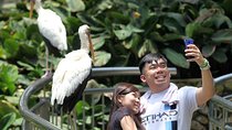 Go Nature - Orchid Garden, Bird Park & Butterfly Park Tour