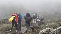 Kilimanjaro Climb- 8 Days Lemosho Route 