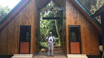 Mount Kilimanjaro: 6-Day Marangu Route Trekking Adventure