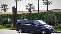 Private transfer from Palermo airport to Hotel Plaza Opéra or vice versa