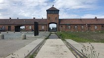Auschwitz-Birkenau and Wieliczka Salt Mine Museum Guided Tour from Krakow