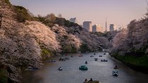 Tokyo Photography Masterclass - Private Photography Lesson