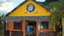 Dunns River Falls plus Bob Marley Nine Mile Private Tour 