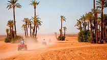 Marrakech Desert and Palm Grove Quad Bike Tour