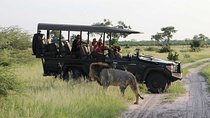 2-Day Chobe Park Safari Tour with Overnight at Victoria Falls