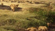 7-Day Private Safari to Amboseli National Park and Masai Mara