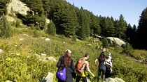 Private Vitosha Mountains Hiking with Black peak & Dragalevtsi Monastery