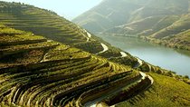 Douro Valley and Lisbon 5 Day PRIVATE Tour - Port Wine Region, Porto and Lisbon