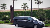 Private transfer from Palermo airport to Artemisia Palace Hotel or vice versa